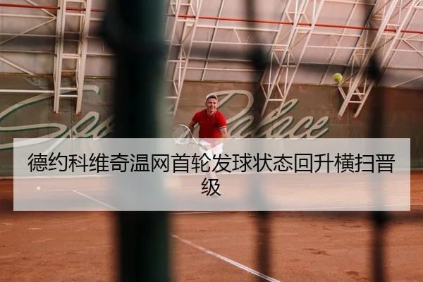 de-yue-ke-wei-qi-wen-wang-shou-lun-fa-qiu-zhuang-tai-hui-sheng-heng-sao-jin-ji-3-371.jpg