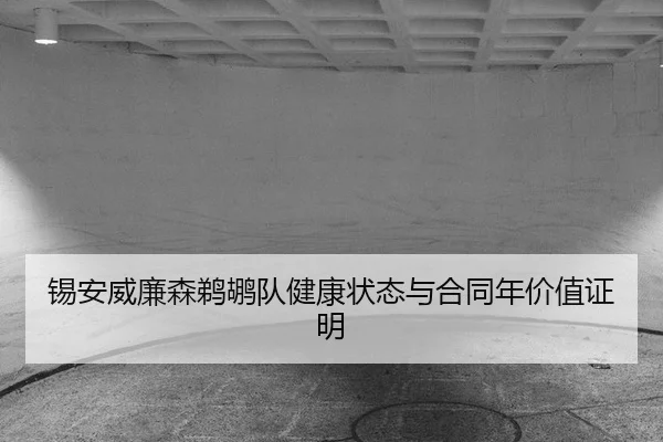 锡安威廉森鹈鹕队健康状态与合同年价值证明